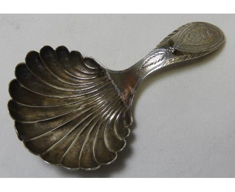 CADDY SPOON 