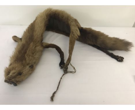  A vintage fox stole. Complete with clasp and fixings.  