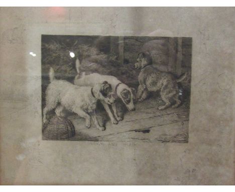 A sepia etching entitled Rough and Ready depicting mischievous terriers- reeded frame and glazed, indistinctly signed lower r