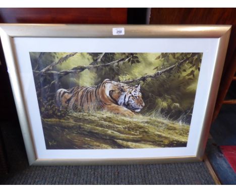 A Framed Print of A Tiger