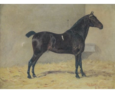 Turner, Miss S (XIX), 'Nor Easter', portrait of a chestnut horse in a barn interior, oils on canvas, signed and dated 1892, p