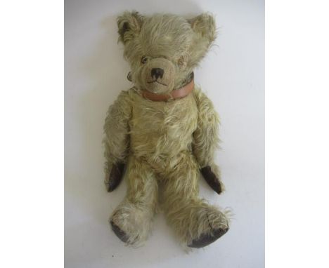 A long haired teddy, with amber glass eyes, brown sewn nose, light orange hair, hump, jointed body, rexine pads and later lea