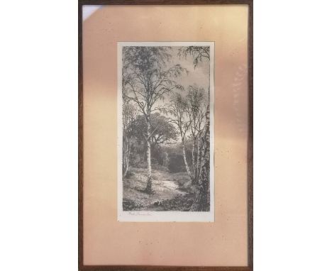 Fred Slocombe, Etching of a Woodland scene signed in Pencil. 17 x 32cm 
