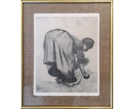 Framed Print of a Lady harvesting after Picasso, 26 x 33cm 