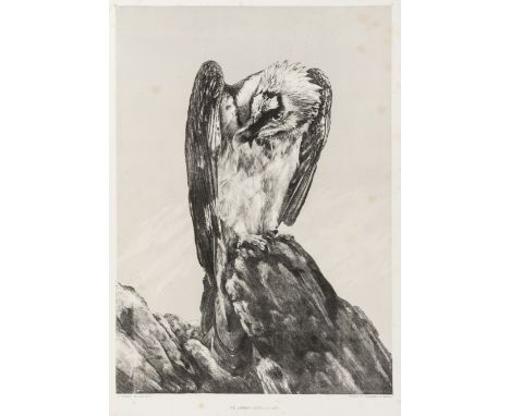 Birds.- Hancock (John) A Fasciculus of Eight Drawings on Stone of Groups of Birds, first edition, lithograph title (torn and 