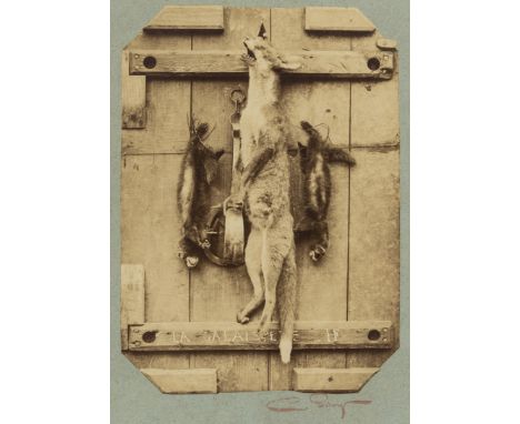 Photography.- Silvy (Camille) Trophée de Chasse, still life of dead game on a wooden board, albumen print, 217 x 158 mm. (8 ½