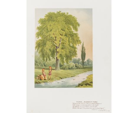 Botany.- Trees.- Menzies (William) Forest Trees and Woodland Scenery..., signed and inscribed by the author "with many thanks