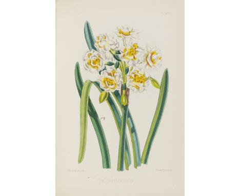 Botany.- Burbidge (Frederick William Thomas) The Narcissus, first edition, 48 hand-coloured lithograph plates, broken with so