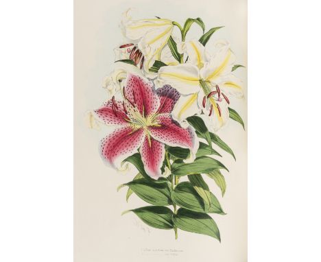 Botany.- Elwes (Henry John) A Monograph of the Genus Lilium, first edition, colour-printed map, albumen print by Bourne, 48 f