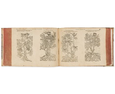 Herbal.- L'Obel (Matthias de) Plantarum seu Stirpium Icones, 2 vol. in 1, woodcut device on printed title, numerous woodcut i