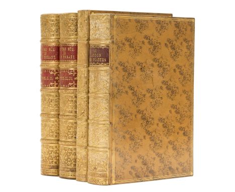 Sue (Eugene) Le Juif Errant, 4 vol.  in 2, first illustrated edition, half-titles, wood-engraved plates and illustrations aft