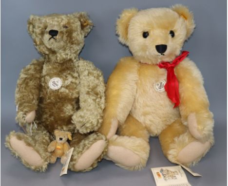 Two Steiff collector's bears and one Steiff mini bear