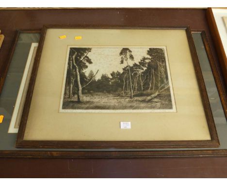 Alfred Blundell - In the Wood, etching, signed and titled in pencil to the margin, 25x35cm, together with one other by the sa