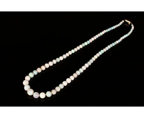 A graduated opal bead necklace, gold metal sprung clasp, 50cm long 