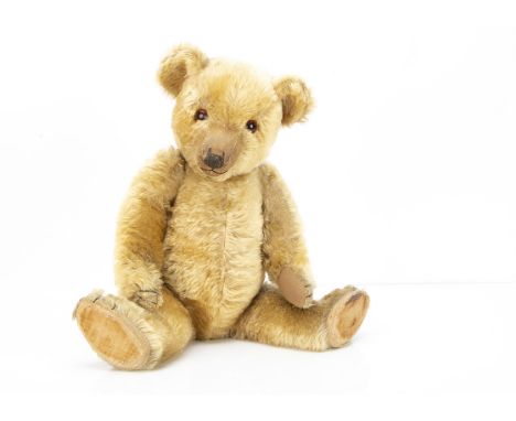 A 1930s Chiltern Hugmee teddy bear,  with golden mohair, orange and black glass eyes, pronounced clipped muzzle, black stitch