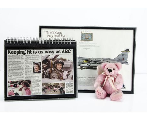 A Beccles Bears Betty for Breast Cancer Care charity bear,  the 'Flying Betty', a pink jointed teddy bear --8½in. (21.5cm.) h