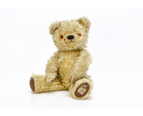 A post-war Chad Valley teddy bear,  with curly light golden mohair, orange and black plastic eyes, pronounced clipped muzzle,