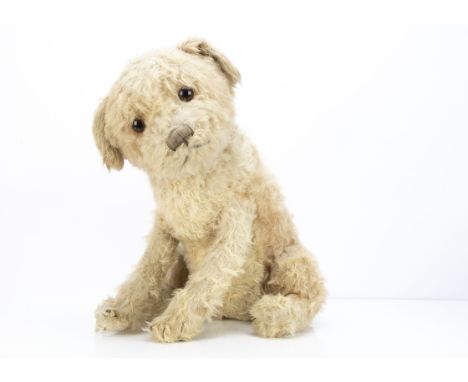 A large J K Farnell seated Beauty dog 1930s,  with light brown wool plush and white mohair, large brown and black glass eyes,