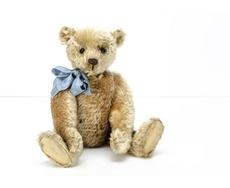 A fine and early Steiff teddy bear circa 1910, with golden mohair, black boot button eyes,  pronounced clipped muzzle, black 