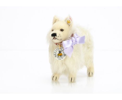 A Steiff limited Club Edition 2000/2001 Toy German Spitz,  674 for the year, in original box with certificate and outer box