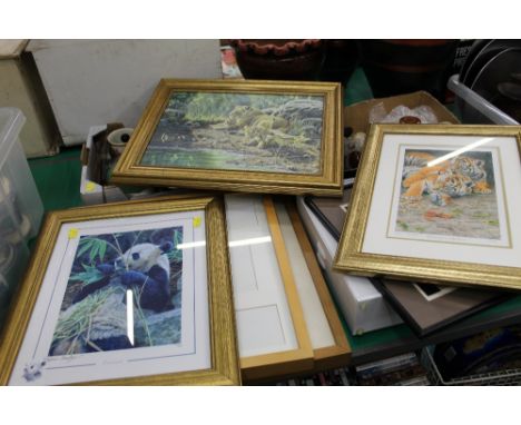 Collection of pictures, limited edition tiger print by Stephen Gayford, limited edition panda print by Stephen Gayford, pictu