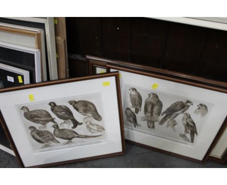 Five prints, two hunting, two bird prints and one horse racing