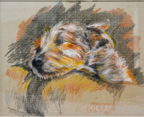 In the manner of Cecil Aldin, "Mickey" dog portrait study, pastels, 47cm x 57cm.