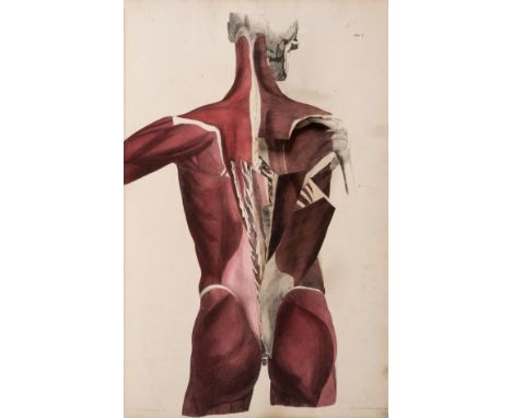 Anatomy.- Tuson (Edward William) Myology..., 2 vol. in1 including Supplement, vol.1 second edition, Supplement  first edition