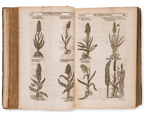Botany.- Gerard (John) The Herball or Generall Historie of Plantes, second edition, lacking initial and final blanks, also [p