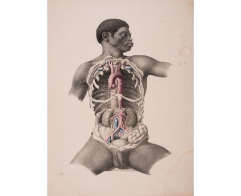 Anatomy.- Maclise (Joseph) Surgical Anatomy, first edition, 35 lithographed plates with partial hand-colouring by Hanhart aft