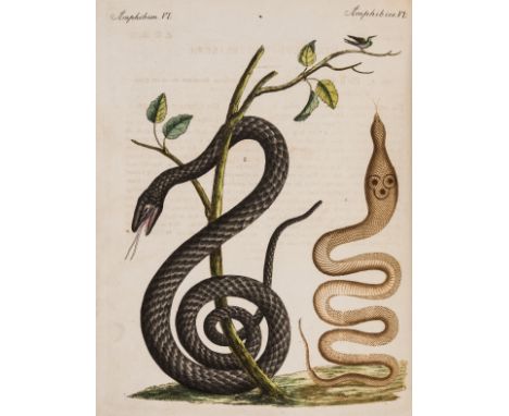Bertuch (F. J.) Bilderbuch für Kinder, vol. 2 only (of 12), first edition, text in German and French, 100 hand-coloured engra