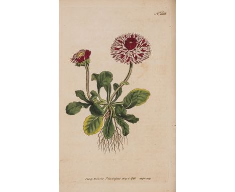 NO RESERVE Botany.- Curtis (William) The Botanical Magazine; or, Flower-Garden Displayed, vol. 7 &amp; 8 in 1, 62 engraved ha