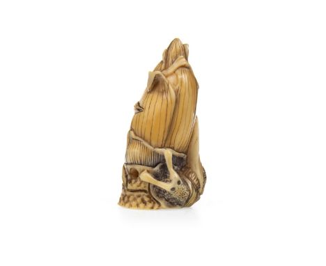 EARLY 20TH CENTURY JAPANESE IVORY NETSUKE, modelled as a snail on a corn, signed, 5cm long