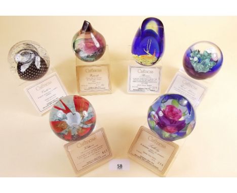Six Caithness glass paperweights: 'Lullaby', 'Pastorale', 'Phoenix', 'Solitaire', 'Cauldron' and 'Floral Illusion' - all boxe