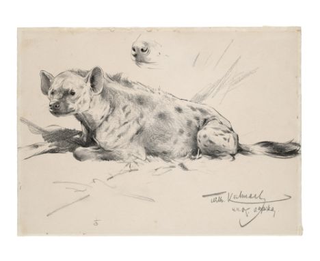 Zoologica Specifica - - Wilhelm Kuhnert. Hyäne. Ost-Afrika, 4.11.1905. Graphit auf festem Papier. Blattmaße 22,5 x 31 cm. Sig