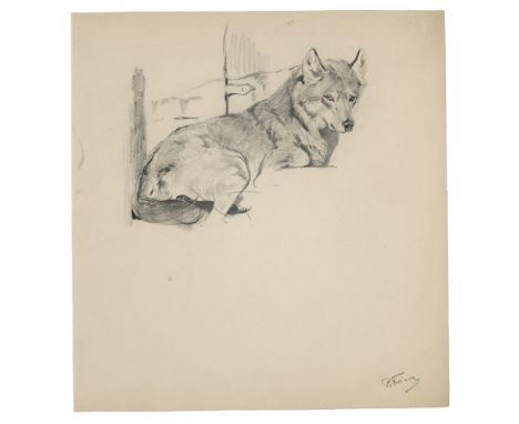 Zoologica Specifica - - Richard Friese. Sammlung von 8 Original-Zeichnungen und Skizzen. Spätes 19. und frühes 20. Jh. Versch