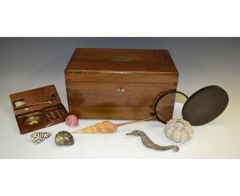 A 19th century French walnut naturalist's specimen box, hinged with a brass cartouche inscribed Coquilles [...] Fossiles de G