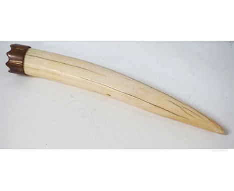 VINTAGE WALRUS TUSKwith shaped copper mount, the tusk 34cm long