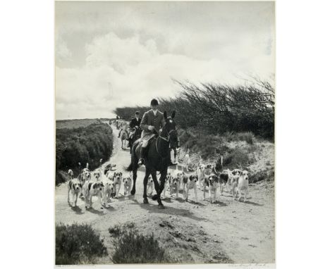 DEVON AND SOMERSET STAGHOUNDS  Hounds at a meet and on a woodland track, two black and white photographs, 18 x 29cm &amp; 29 