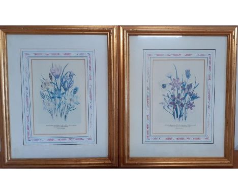 A pair of prints in a glided frame, (19x12.5 cm). (2)