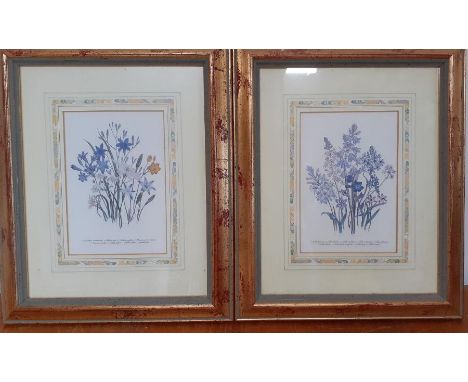 A pair of prints in a glided frame, (19x12.5 cm). (2)