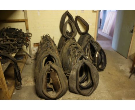 A large quantity of light and heavy horse collars