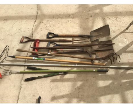 VARIOUS TOOLS TO INCLUDE VINTAGE EXAMPLES CONSISTING OF SHOVELS, FORKS, HOES, RAKES ETC 