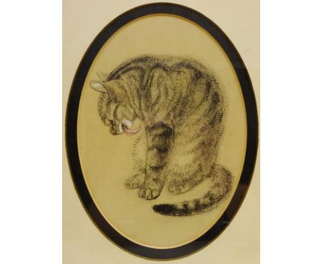Portrait of a Cat, oval charcoal drawing by Lucy Vere Temple (1898-1980) unsigned signed verso with T.B. & R. Jordan Gallery 