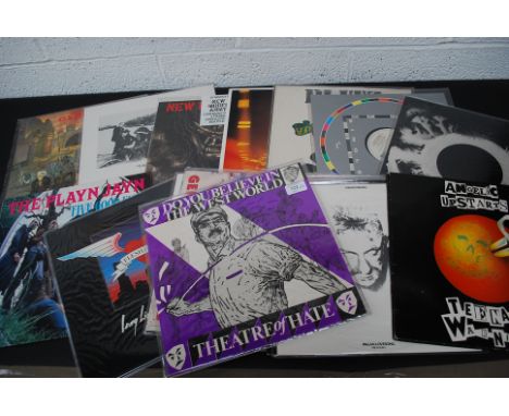 PUNK / GOTH. A collection of vinyl records to include: The Exploited, Cruisers Creek, New Model Army, The Comsat Angels, Blit