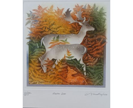 Anna Pugh (British, born 1938), 'Fallow Deer'
Etching with aquatint printed in colours, 1983, on wove, signed, dated, titled,