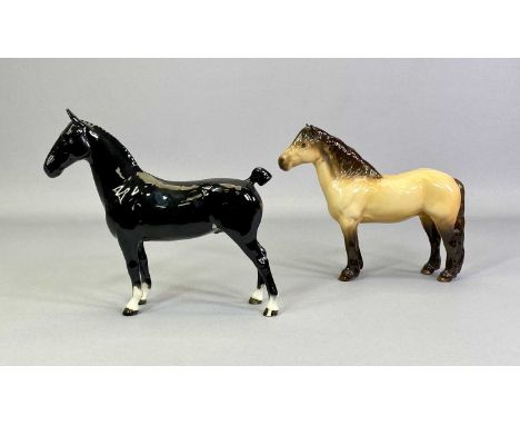 BESWICK HORSES - 'CHAMPION BLACK MAGIC' - black gloss, 19.5cms H and Highland Pony, gloss, 18cms H