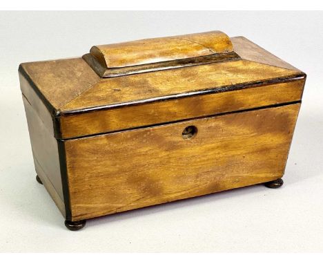 VICTORIAN SATINWOOD DOUBLE TEA CADDY - of sarcophagus form on bun feet, the interior having two compartments with lift-up lid