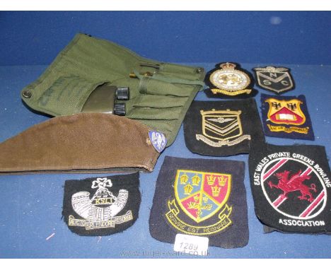 A quantity of military cloth Badges, a piped foldable side cap with enamel badge and a military Cleaning Kit.