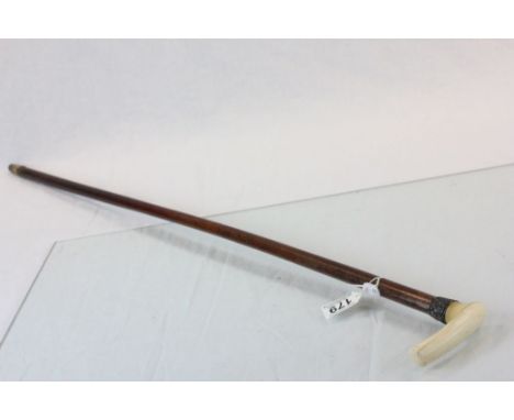 Ivory topped Malacca walking stick with Silver collar